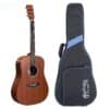 dan guitar acoustic martin dx1e mahogany