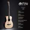 dan guitar acoustic martin lx1e 1