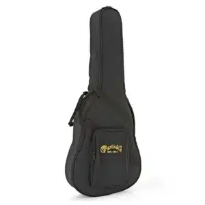dan guitar acoustic martin lxk2 little w bag
