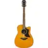 dan guitar acoustic yamaha a1m2