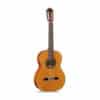 dan guitar classic famosa fc 20s