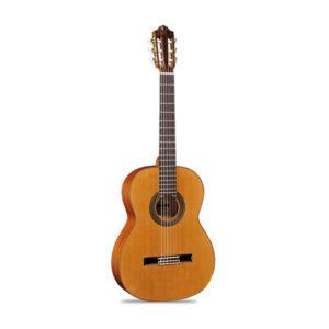 dan guitar classic famosa fc 20s