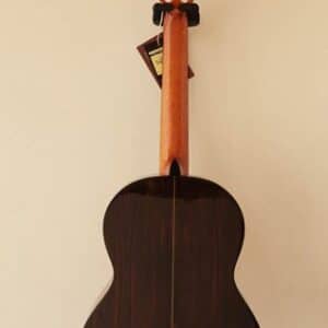 dan guitar classic martinez mcg 50s 1