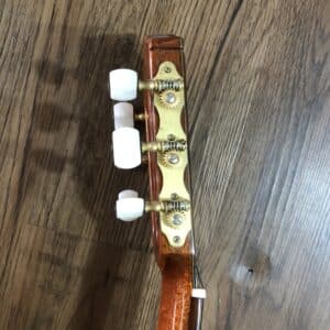 dan guitar classic martinez mcg 50s