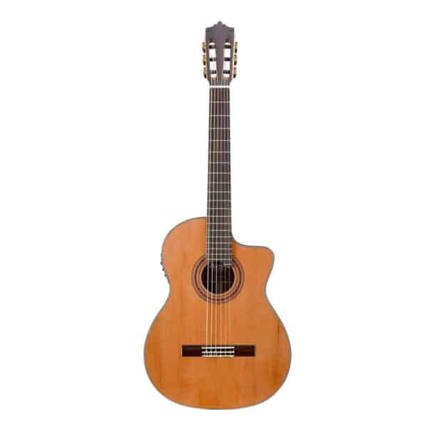 dan guitar classic martinez mcg 58 ce
