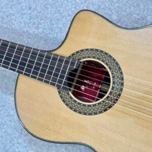 dan guitar classic martinez mcg 88c ce 2