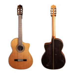 dan guitar classic martinez mcg 88c ce