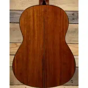 dan guitar classic yamaha cg162s 2