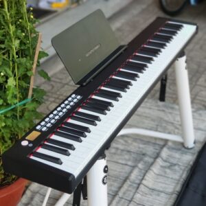 dan piano dien bora bx02