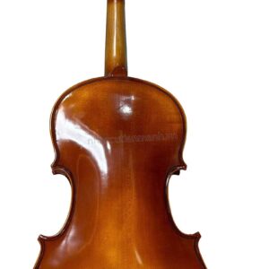 dan viola cremona gcv a601