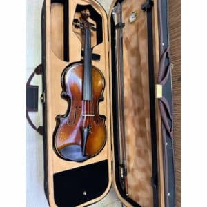 dan violin amati 1969 va111