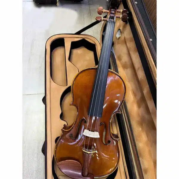 dan violin amati 1969 va111