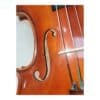 dan violin scott guan 017n 1