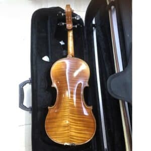 Đàn Violin Scott & Guan STV 011 Size 4/4 dan violin scott guan stv 011 size 4 4 2