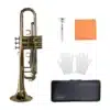 ken trumpet amati tr 300