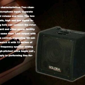 keyboard amplifier goldea kb 80