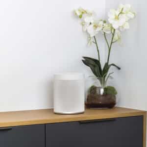 loa yamaha wx 021 white 2