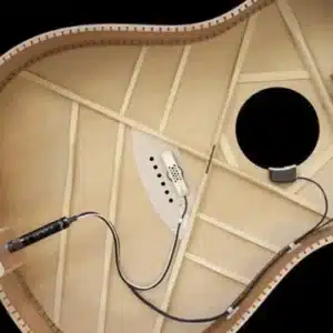 lr baggs anthem sl nylon string 1