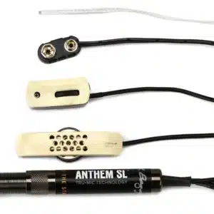 lr baggs anthem sl nylon string