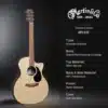 martin gpc x2e macassar x series dan guitar acoustic