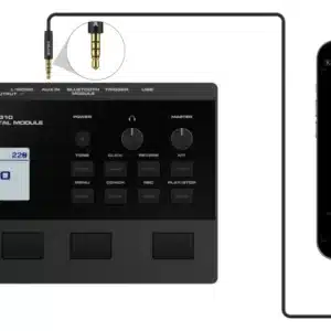 trong dien tu nux dm 310 3
