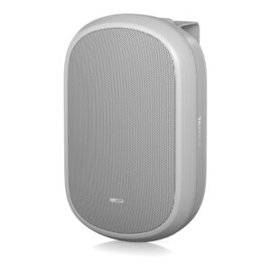 Tannoy DVS 401-WH Loa Lắp Đặt Passive dvs 401 wh 1