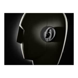 Neumann KU 100 Dummy Head ku 100 230 v 1