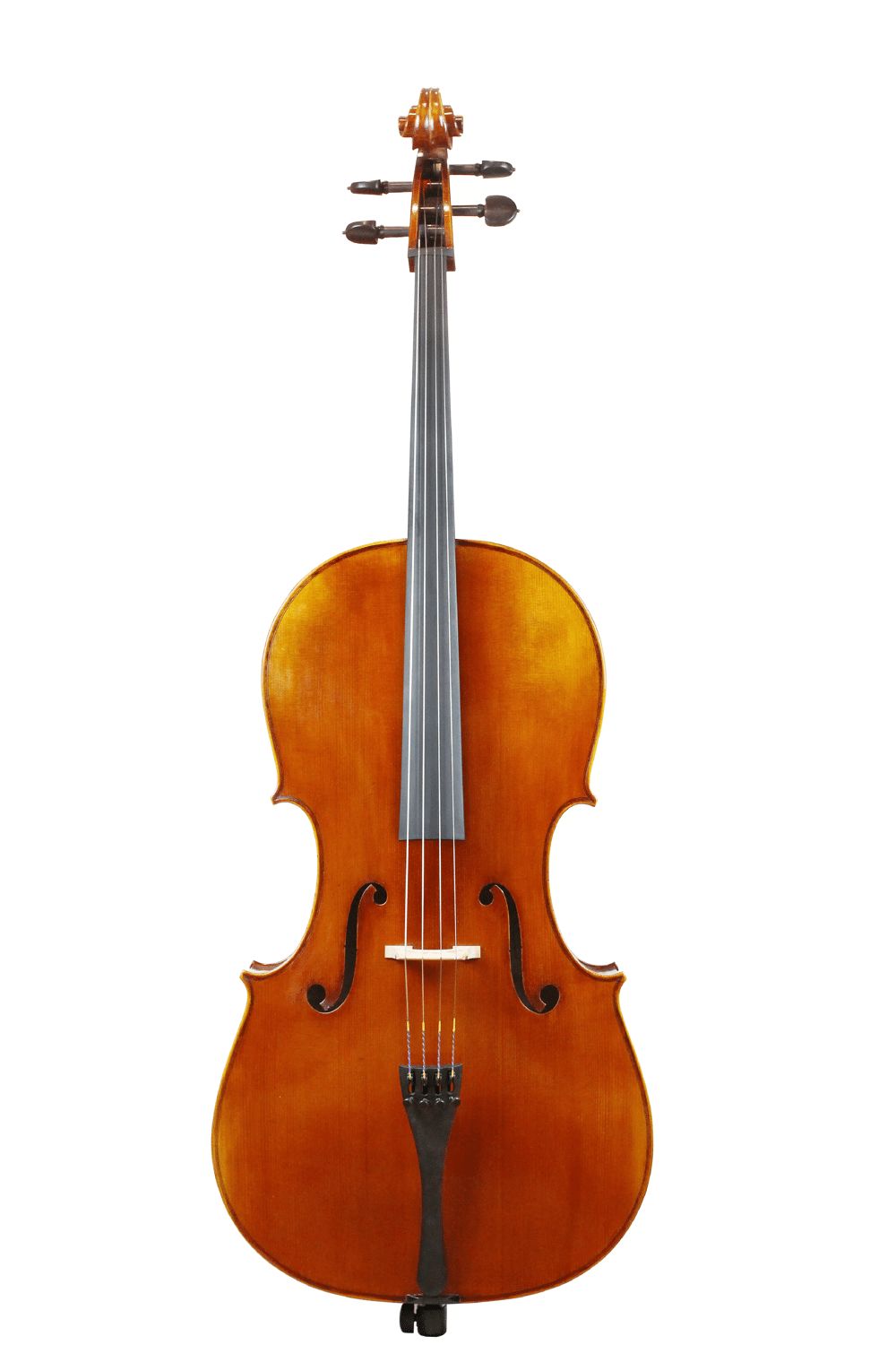 Scott Cao STC-600 – Đàn Cello https://goldmusic.vn/wp-content/uploads/2025/12/4274434837.jpgutm_sourcechatgpt.jpg