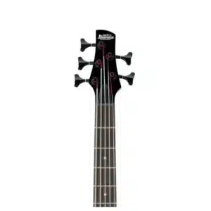 bass ibanez gsr205b wnf 1