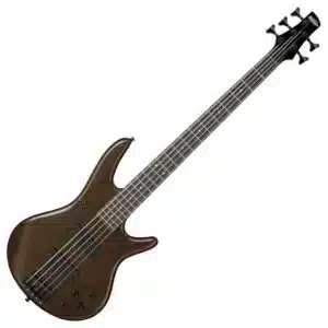 bass ibanez gsr205b wnf 2