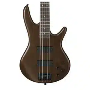 bass ibanez gsr205b wnf