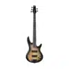 bass ibanez gsr205sm ngt 2