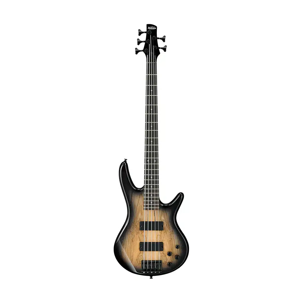 bass ibanez gsr205sm ngt 2 bass ibanez gsr205sm ngt 2