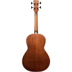 bass ibanez pnb14e opn 2
