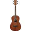 bass ibanez pnb14e opn 4