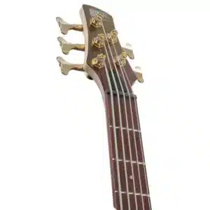 bass ibanez sr305edx rgc 5 1
