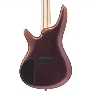 bass ibanez sr305edx rgc 5 2