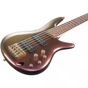 bass ibanez sr305edx rgc 5 3