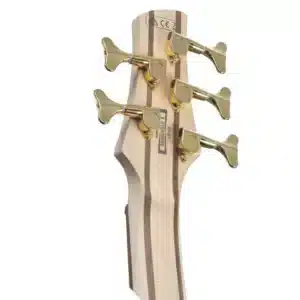 bass ibanez sr305edx rgc 5