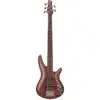 bass ibanez sr305edx rgc 5 5