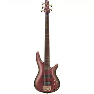 bass ibanez sr305edx rgc 5 5