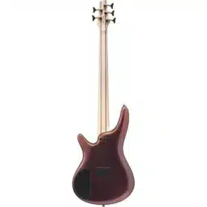bass ibanez sr305edx rgc 54