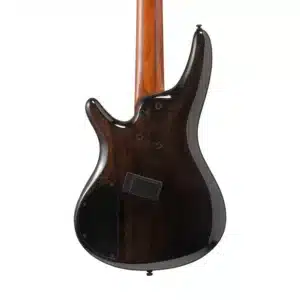bass ibanez srms805 tsr 1