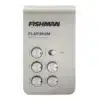 fishman platinum stage eq 3
