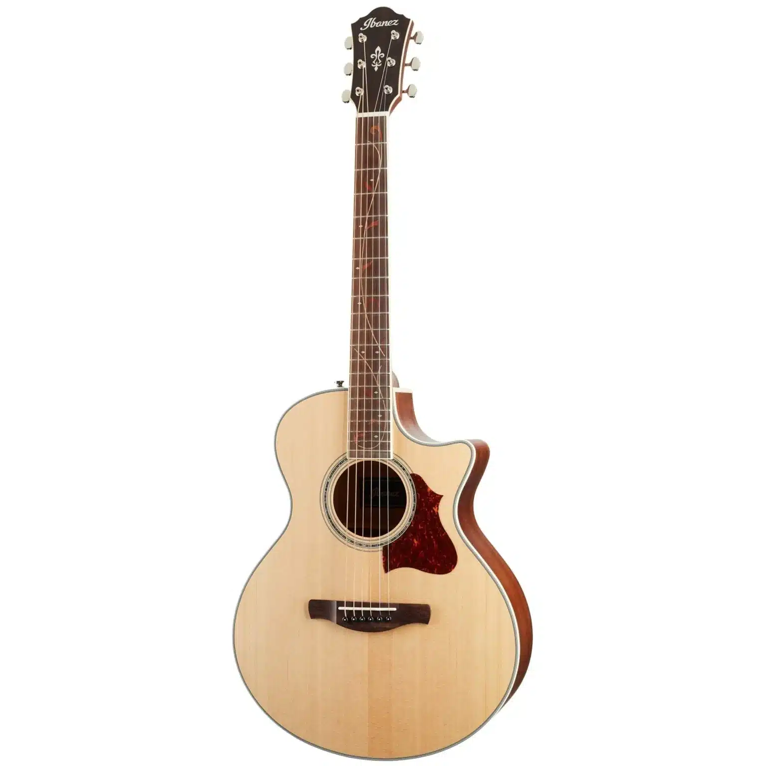 ibanez ae205jr opn 3