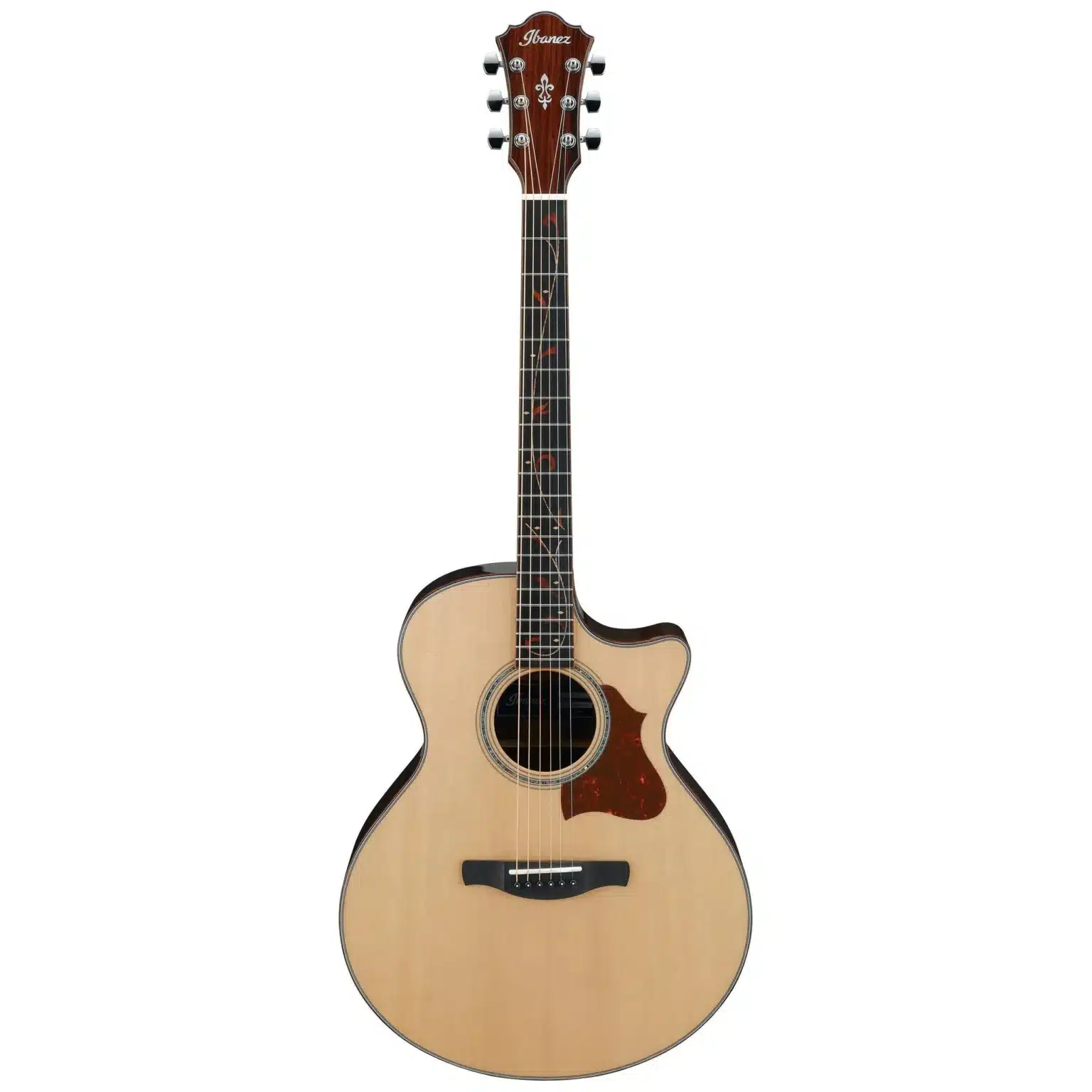ibanez ae315zr nt 2