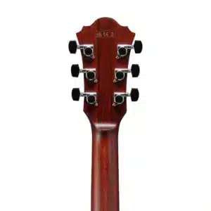 ibanez ae410 lgs 1