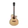 ibanez ae410 lgs 3