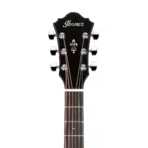 ibanez ae410 lgs