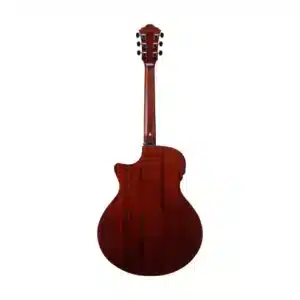ibanez ae410 lgs2